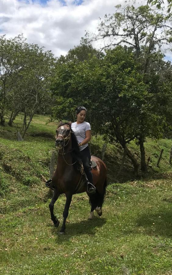 בית הארחה מוניקירה 	Posada Del Camino Real מראה חיצוני תמונה